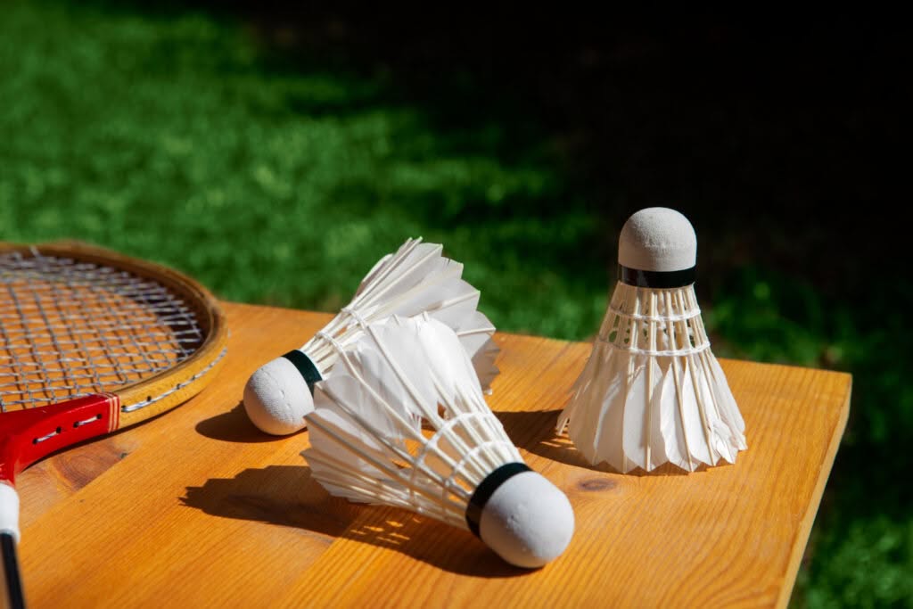 bisnis lapangan badminton komersial